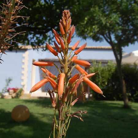 Terre Iblee Resort Chiaramonte Gulfi Zewnętrze zdjęcie