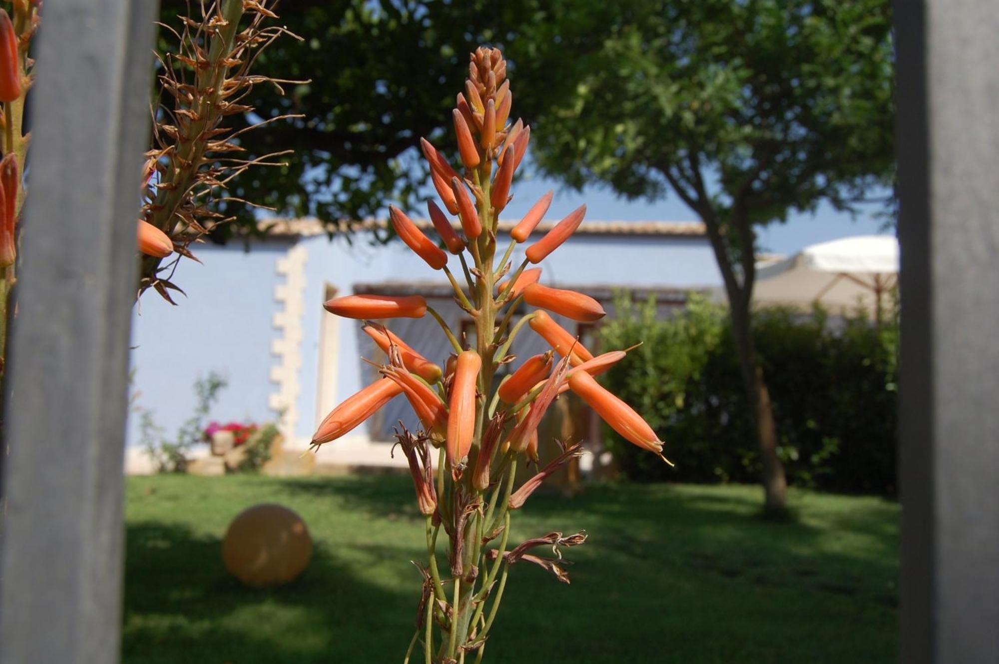 Terre Iblee Resort Chiaramonte Gulfi Zewnętrze zdjęcie